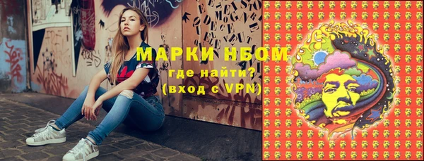 крисы Алзамай