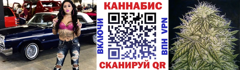 ОМГ ОМГ tor  Кинешма  Конопля сатива 